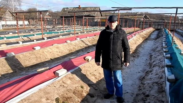Почему не вызревает виноград в РБ. Коммерческое виноградарство.