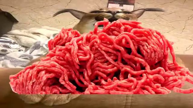 Рецепт Пельменей от Большого Шлёппы смотреть онлайн