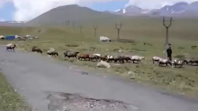 Армяне принимают мусульманство и национальная арм. песня "Баран джан".... смотреть онлайн