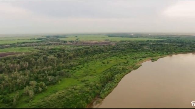 Владимир Штанеев -Уха со стерлядочки смотреть онлайн