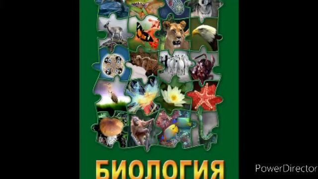 #46 Класс млекопитающие. Биология 7 кл.