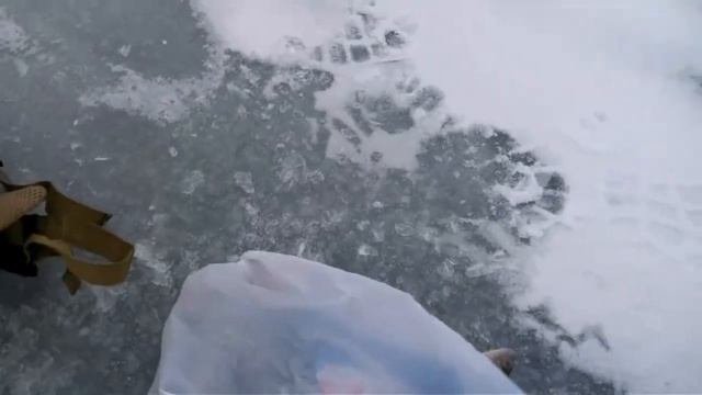 Гречана Гребля.На окуня.