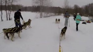 Воскресная практика, Кожухово. 12.02.2017
