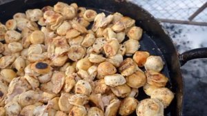 Жареные пельмени в томатном соусе