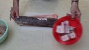 Черноморская акула КАТРАН