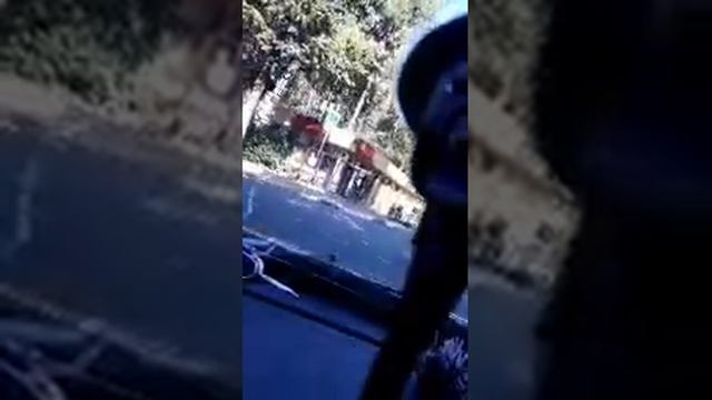 Адлер. Служба размещения отдыхающих. Экскурсия по Адлеру. Размышления на свободную тему)