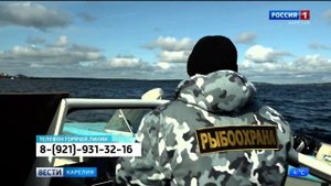 Все рыболовные сети теперь необходимо регистрировать