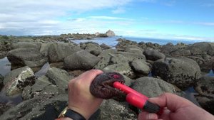 Как ловят СОБАКУ МОРСКУЮ в МАГАДАНЕ! Дальневосточная ЗУБАТКА. ЖУТЬ КАКАЯ / ENG. SUB.