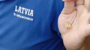 Серия 71. Поплавок Платник. Ловля карпа. Рыбалка с Нормундом Грабовскисом.