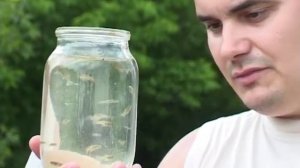 Академия Рыбалки. Ночной Судак