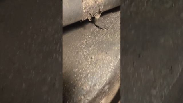 Мерседес 124 состояние днища