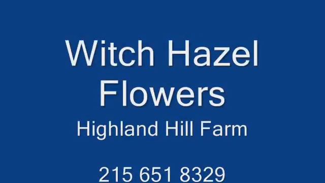 The Uglist Flower in Eastern US Landscapes смотреть онлайн