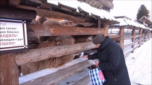 2ч. ПОЛНЫЙ ОБЗОР Кантри Резорт Вербилки (Country Resort )+ День Рождения!