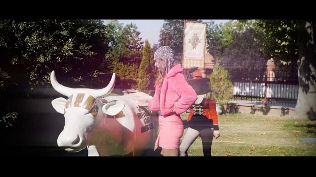 Siberian Caracal- Lady Popular смотреть онлайн