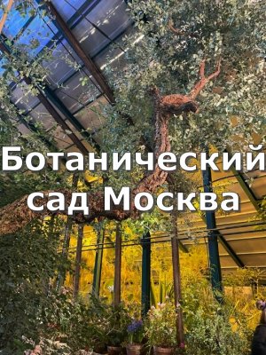 Ботанический сад Москва