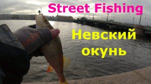 #457 #StreetFishing | Невский окунь |