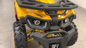 Avantis Hunter 200 BIG LUX