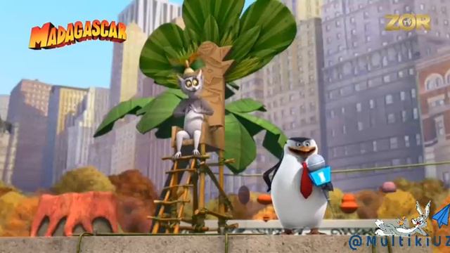 Madagaskar multfilm. Uz tarjima |Мадагаскар Мултфилм смотреть онлайн
