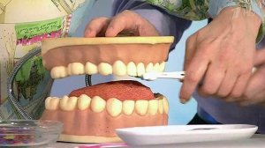 Поспешишь - людей насмешишь. Когда не стоит торопиться. Жить здорово! Фрагмент выпуска от 25.07.2014