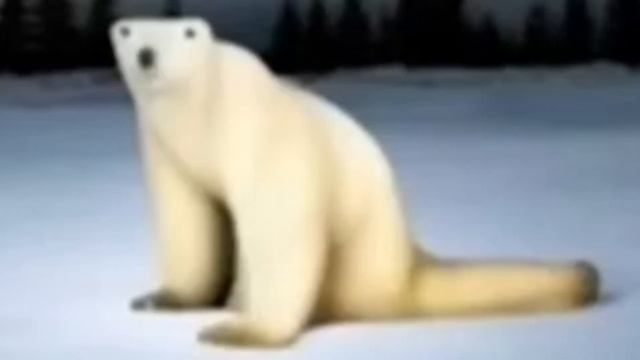 ОТКУДА ПОЯВИЛСЯ МЕМ ИЗ 2026 ГОДА...