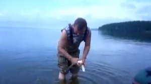 Тест и звук квока