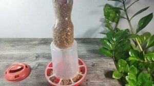 Кормушка бункерная для птицы 1 5л (Сюрприз)