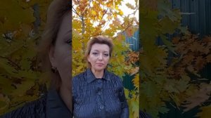Как обрезать ветки соседа?