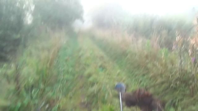 Легкий МеталлоКоп # задания для Подписчиков # смотреть онлайн