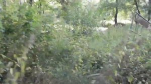 Заброшенный лагерь "Думчино" часть 1