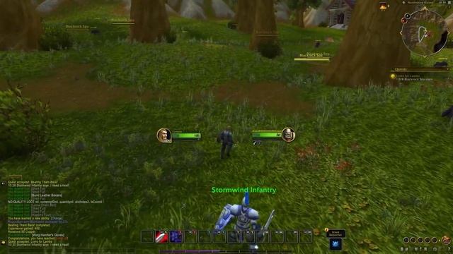 ? World of Warcraft для консолей уже совсем скоро? смотреть онлайн