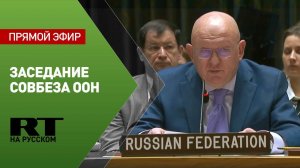 Небензя принимает участие в заседании Совбеза ООН