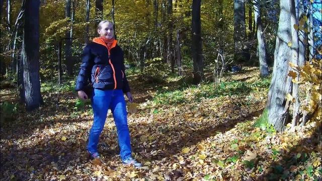 В осеннем лесу.  Истринское водохранилище.