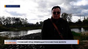 Гусевский пруд превращается в местное болото