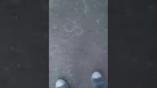 Паронормальное евление на смотрелась анимеджик s,стрелка ,мешок.