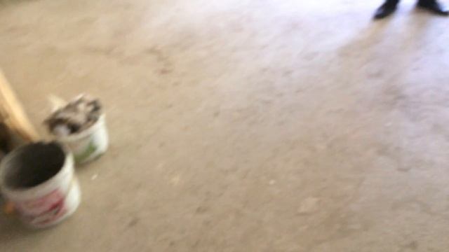 ЖК "Известинский парк" Курортный городок за 85000 рублей + подарок 1 миллион рублей смотреть онлайн