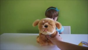 Живые Игрушки Интерактивный Щенок LITTLE LIVE PETS MY DREAM PUPPY
