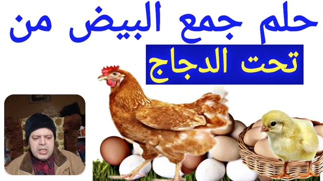 تفسير حلم رؤية فقس البيض في المنام | ماذا يعني وجودي البيض في الحلم | رموز وتفسيرات عن البيض смотреть онлайн