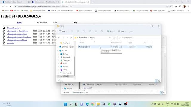 How to install Chrome driver || Selenium || Java- Automation || Testing