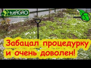 СИДЕРАТЫ ЭФФЕКТИВНЕЕ В 20 РАЗ! УСПЕЙТЕ СДЕЛАТЬ ЭТО ДО МОРОЗА (после тоже можно, но не затягивайте).