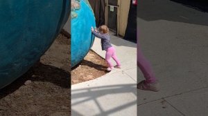 Что мы любим в живом уголке в Кармиэле. Петушок Барталито любимчик!