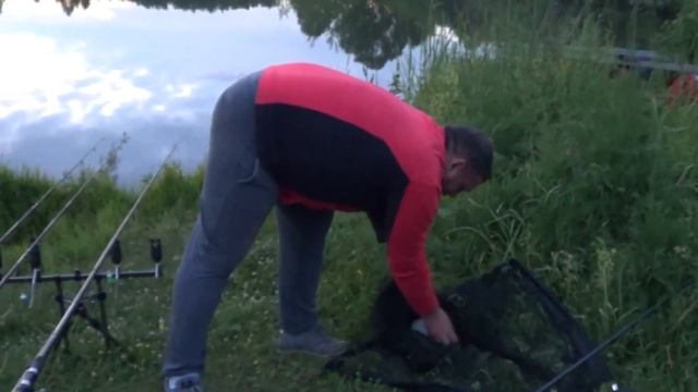 Рыбалка на коммерческом водоёме "Высокий" 11 июня 2020г. смотреть онлайн