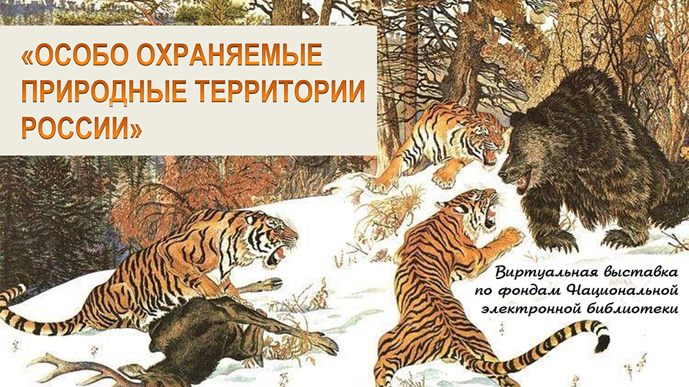 Виртуальная выставка «Особо охраняемые природные территории России»