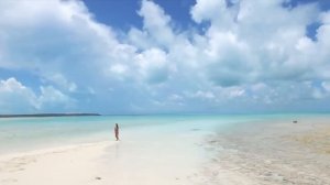 Rastafair - Shirfine Illusionary