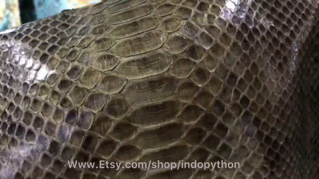 Olive python leather, olive snakeskin, snake hide, real python skin