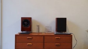 TEAC S-300NEO 2-Way Speaker/ティアック スピーカー コアキシャル コンパクト