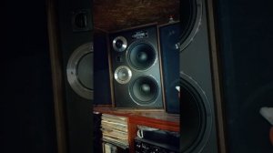 Tonsil ZG 40c 201