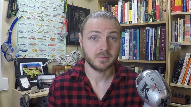 What is a BLACK PANTHER? The SUPERHERO is based upon what species? Melanism | Koaw Nature смотреть онлайн