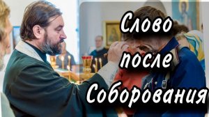 «Бывает радость у ангелов Божиих и об одном грешнике кающемся» Отец Андрей Ткачёв