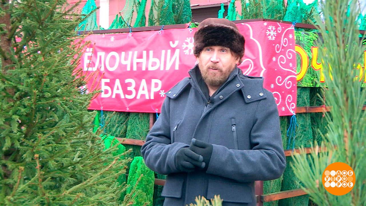 Выбираем живую елку. Доброе утро. Фрагмент выпуска от 23.12.2022