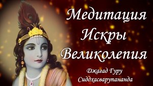 Искры великолепия – Джагад-гуру Сиддхасварупананда Парамахамса Крис Батлер